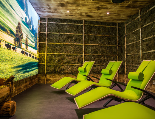 Sieben Wege zu mehr Gesundheit und Gelassenheit. Im Das Sieben Gesundheits-Resort ist der Name Programm, Body in Topform mit Vitalfeldanalyse und Bioimpedanzanalyse