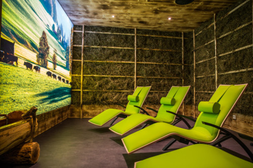 Sieben Wege zu mehr Gesundheit und Gelassenheit. Im Das Sieben Gesundheits-Resort ist der Name Programm, Body in Topform mit Vitalfeldanalyse und Bioimpedanzanalyse