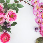 Bachblüten beruhigen und tragen zur Entspannung bei