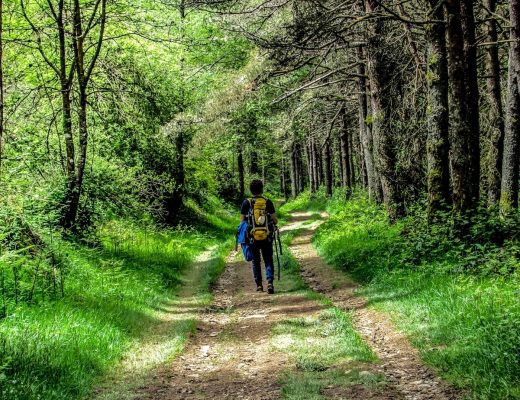 Wanderer im Wald