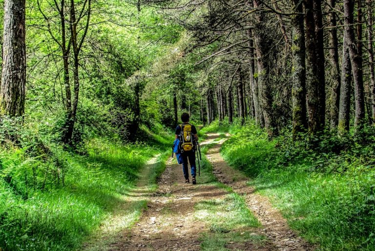 Wanderer im Wald